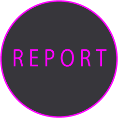 REPORT
