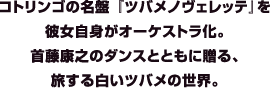 コトリンゴの名盤『ツバメノヴェレッテ』を彼女自身がオーケストラ化。首藤康之のダンスとともに贈る、旅する白いツバメの世界。